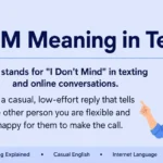 IDM Meaning in Text